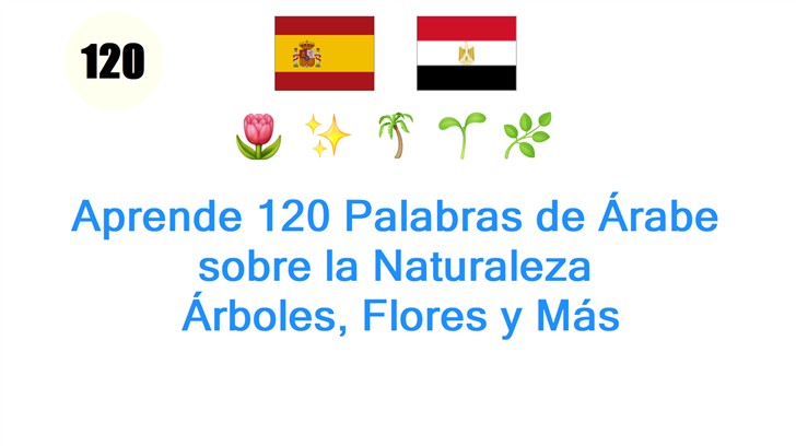 Aprende 120 Palabras de Árabe sobre la Naturaleza: Árboles, Flores y Más